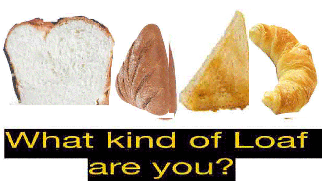 gif of 4 kinds of breads in a glitch aesthetic with the question What kind of Loaf are you underneath. The questions colors alternate between black and yellow, and blue and white